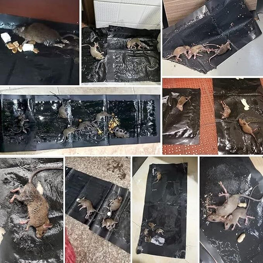 Tapis piège à souris ( Pack de 3 tapis ) de 28*120cm