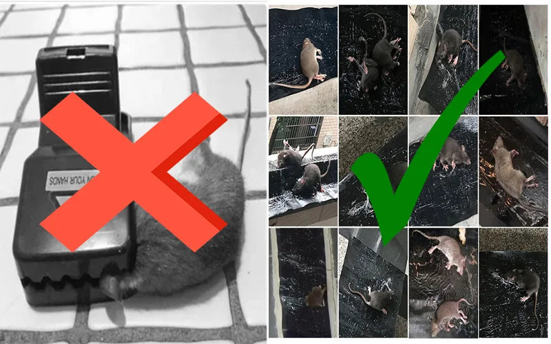 Tapis piège à souris ( Pack de 3 tapis  ) de 28*120cm