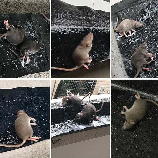 Tapis piège à souris ( Pack de 3 tapis  ) de 28*120cm